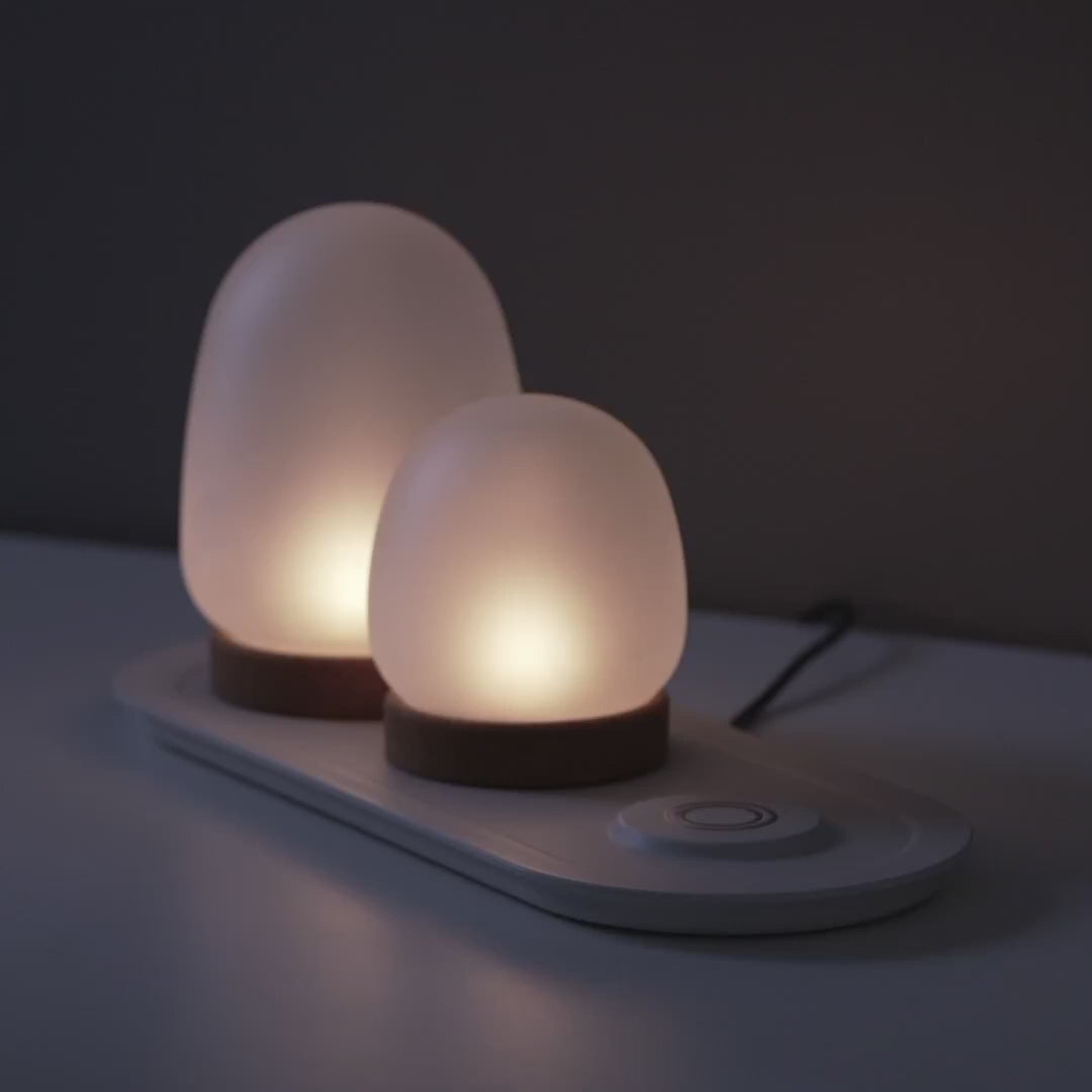 PRAKTSPIREA 4-piece LED decoration lighting set, with charging tray