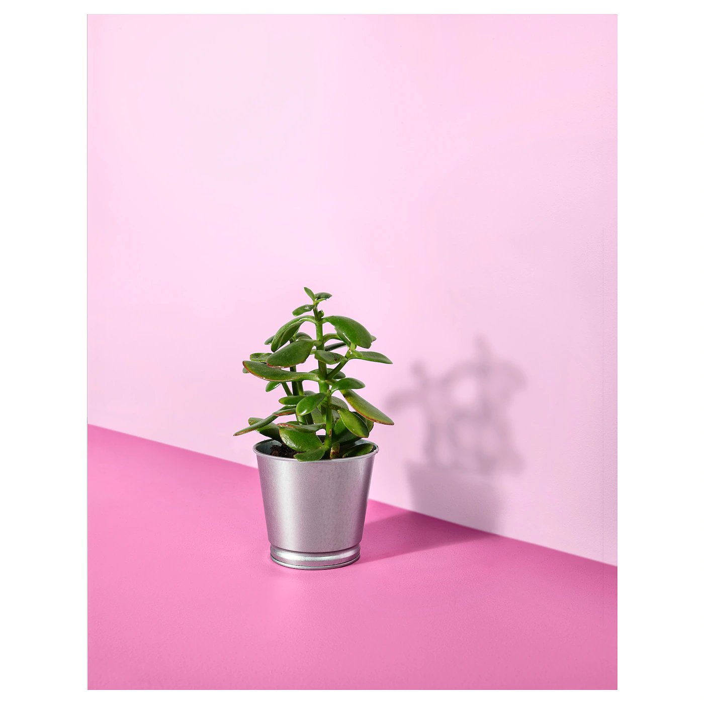BINTJE. 
Plant pot, galvanised, 9 cm