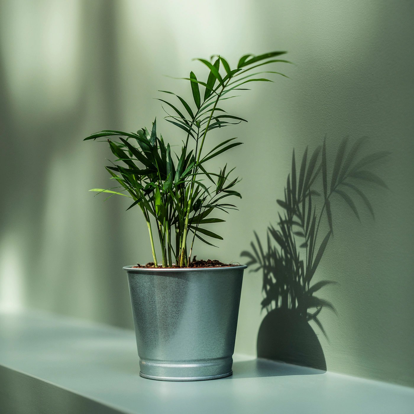 BINTJE. 
Plant pot, galvanised, 9 cm
