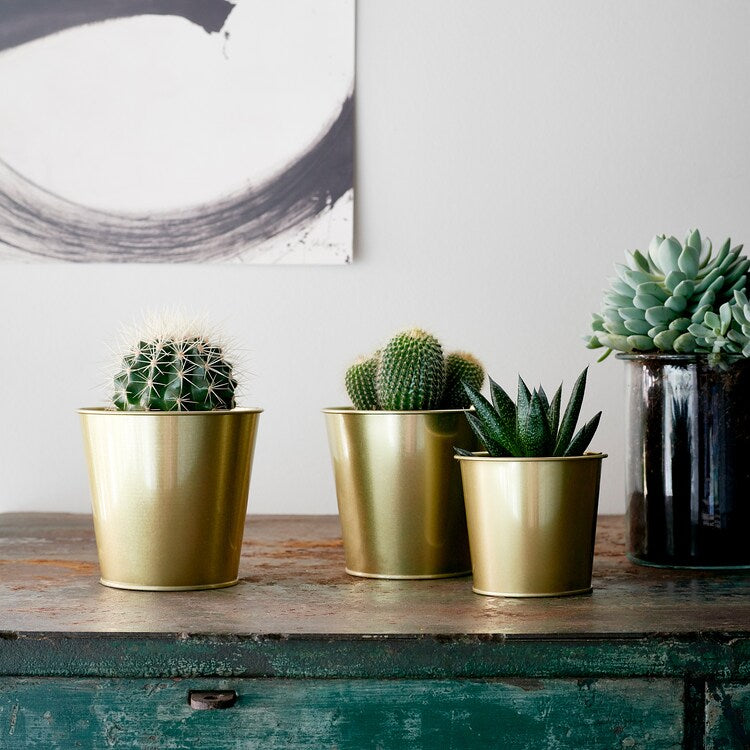 DAIDAI
Plant pot, brass-colour 9 cm
