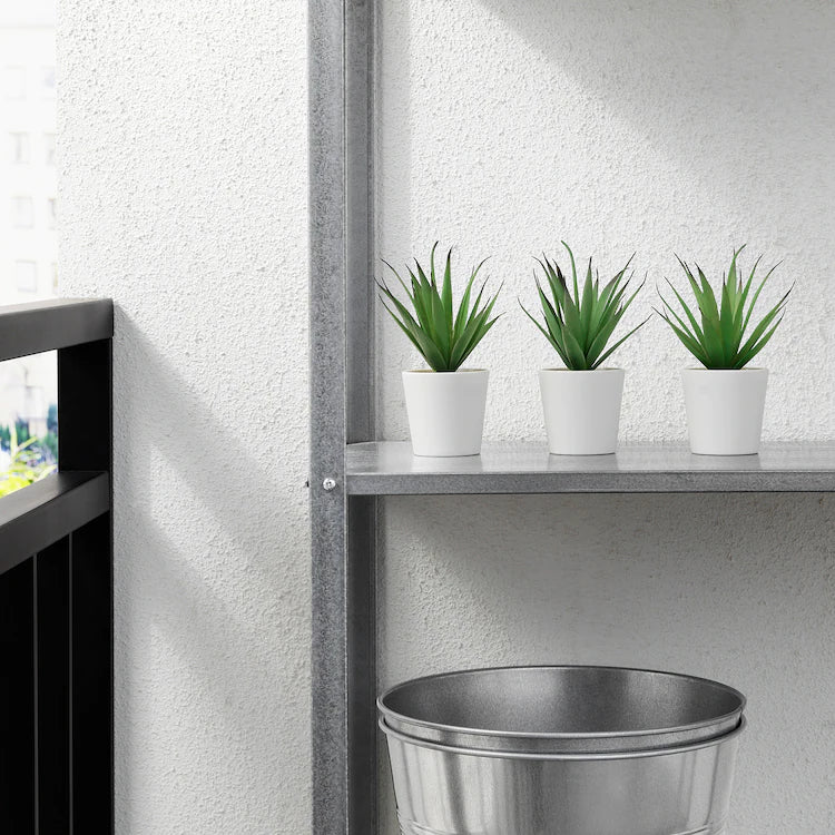 FEJKA Artificial potted plant with pot, in/outdoor Succulent 6 cm
