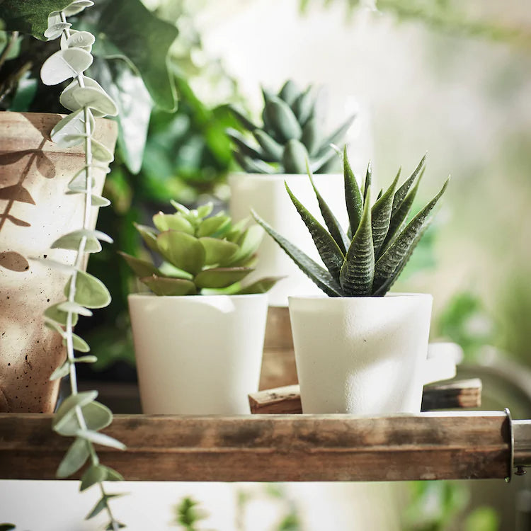 FEJKA
Artificial potted plant with pot, in/outdoor 3 pack