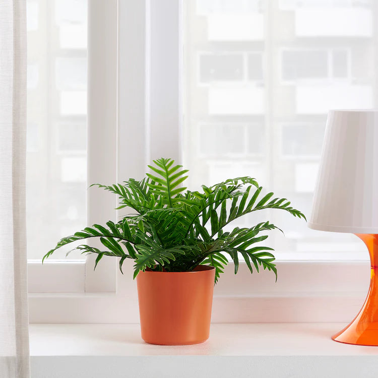OMFÅNG
Plant pot, in/outdoor orange