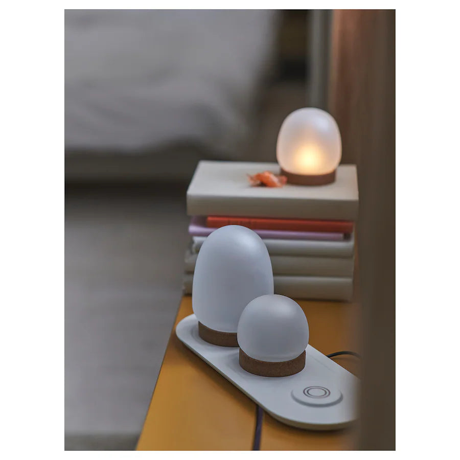 PRAKTSPIREA 4-piece LED decoration lighting set, with charging tray