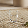 HUMLAFISK Snaps glass, clear glass, 3.0 cl