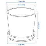 PLANT POT WITH SAUCER , 15 CM