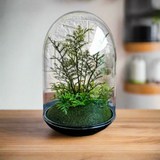 INVÄNDIG Artificial terrarium, dome