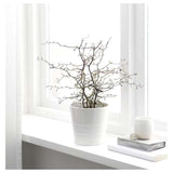 MUSKOTPlant pot, white, 12cm "