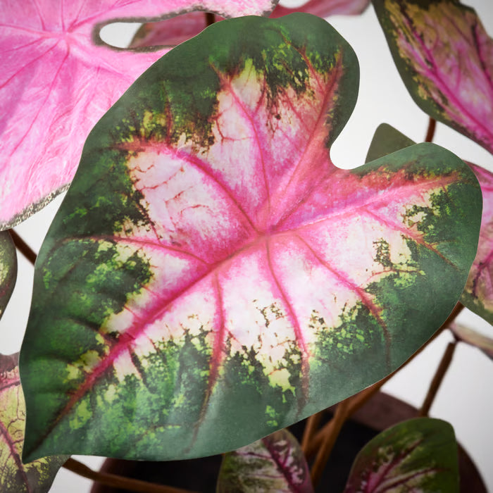 SMÅTÄRNA Artificial potted plant, paper/caladium