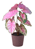 SMÅTÄRNA Artificial potted plant, paper/caladium