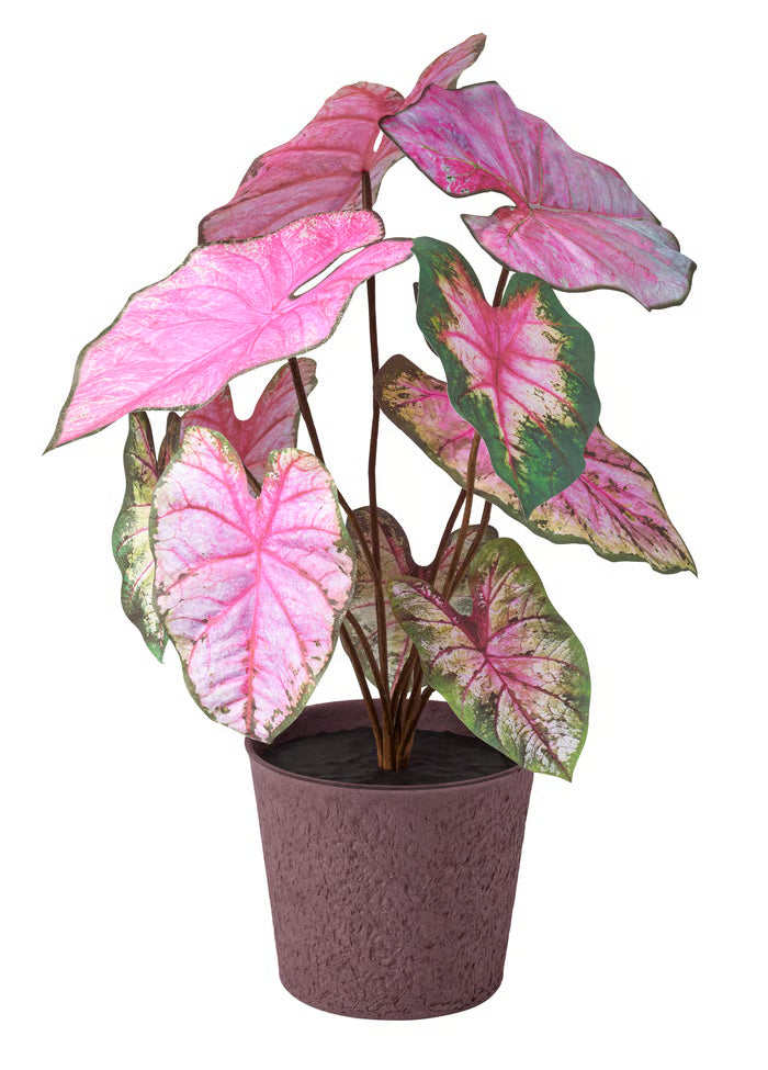 SMÅTÄRNA Artificial potted plant, paper/caladium