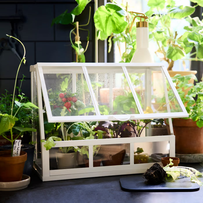 ÅKERBÄR Greenhouse, in/outdoor/white, 45 cm