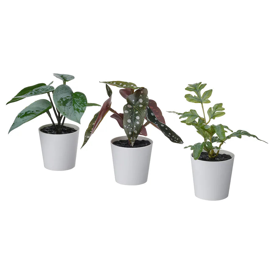 FEJKA Artifi potted plant w pot, set of 3