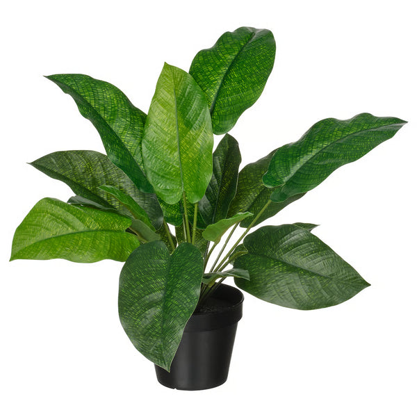 FEJKA Artificial potted plant, in/outdoor calathea, 12 cm