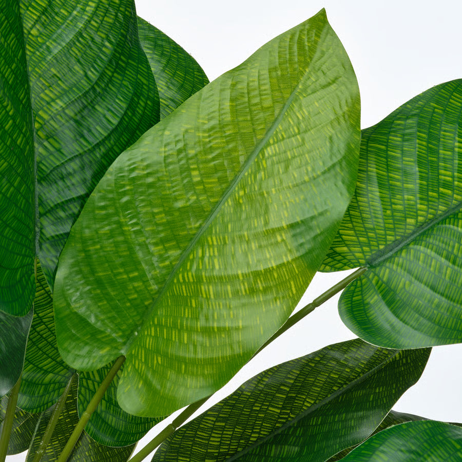FEJKA Artificial potted plant, in/outdoor calathea, 12 cm