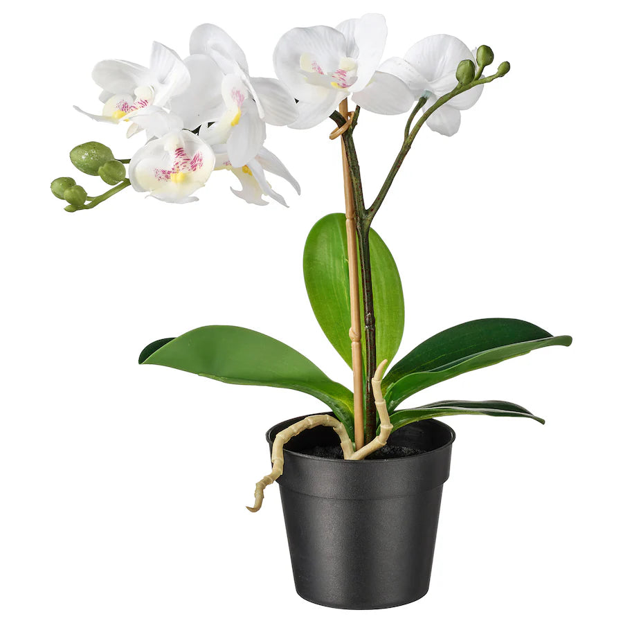 FEJKA

Artificial potted plant, Orchid white, 9 cm