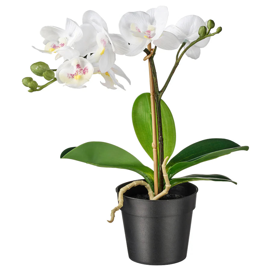 FEJKAArtificial potted plant, Orchid white, 9 cm