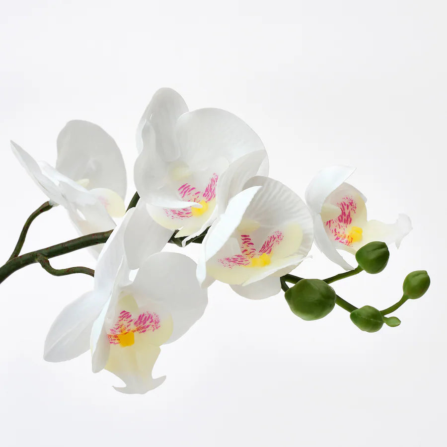 FEJKA

Artificial potted plant, Orchid white, 9 cm