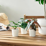 FEJKAArtifi potted plant w pot, set of 3