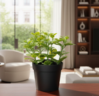 FEJKA
Artificial potted plant, in/outdoor Mint, 9 cm
