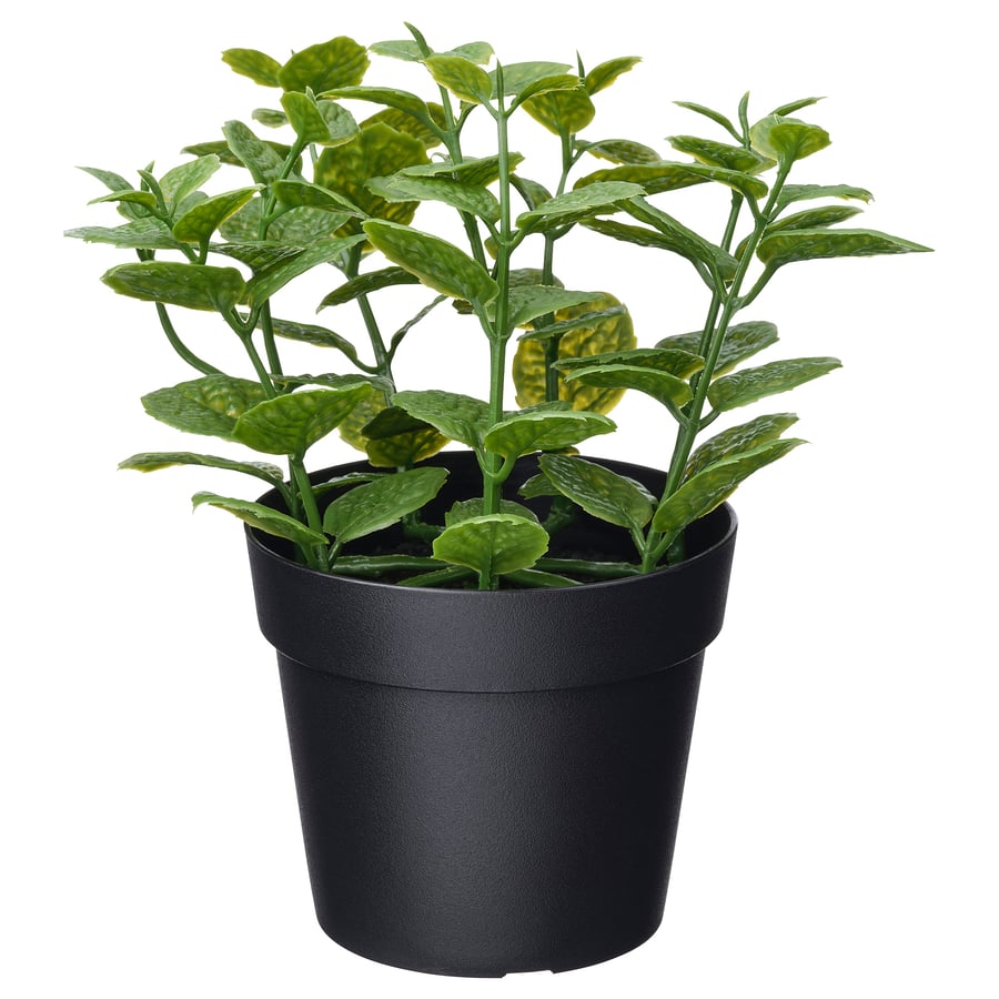 FEJKA
Artificial potted plant, in/outdoor Mint, 9 cm
