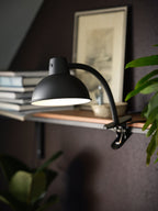 SKURUP
Clamp spotlight, black