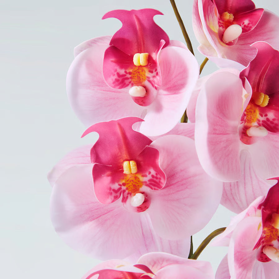 SMYCKA Artificial flower, in/outdoor/Orchid pink, 60 cm