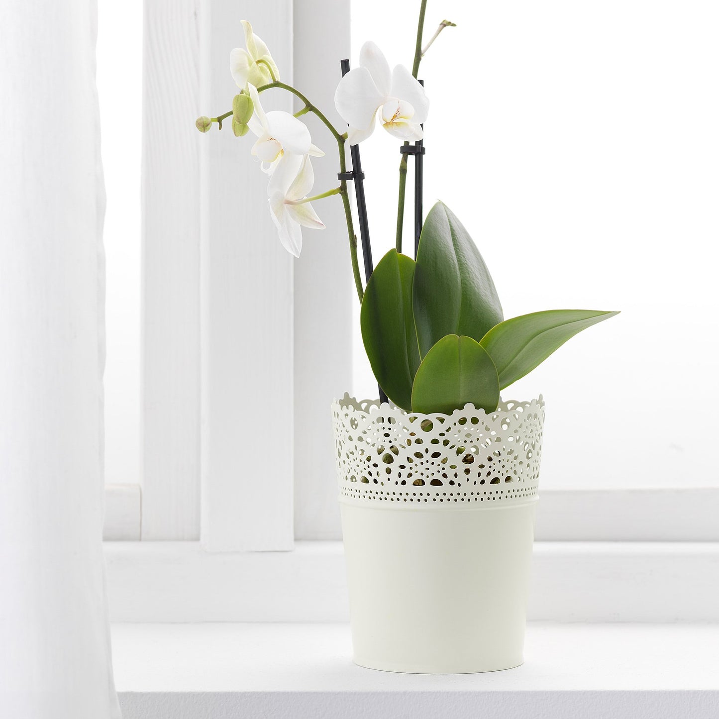 SKURAR

plant pot 15 cm in/outdoor/off-white