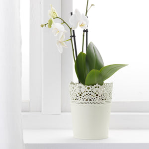 SKURARplant pot 15 cm in/outdoor/off-white