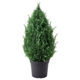 FEJKA artificial potted plant/Cypress