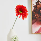 Lida Gerbera flower