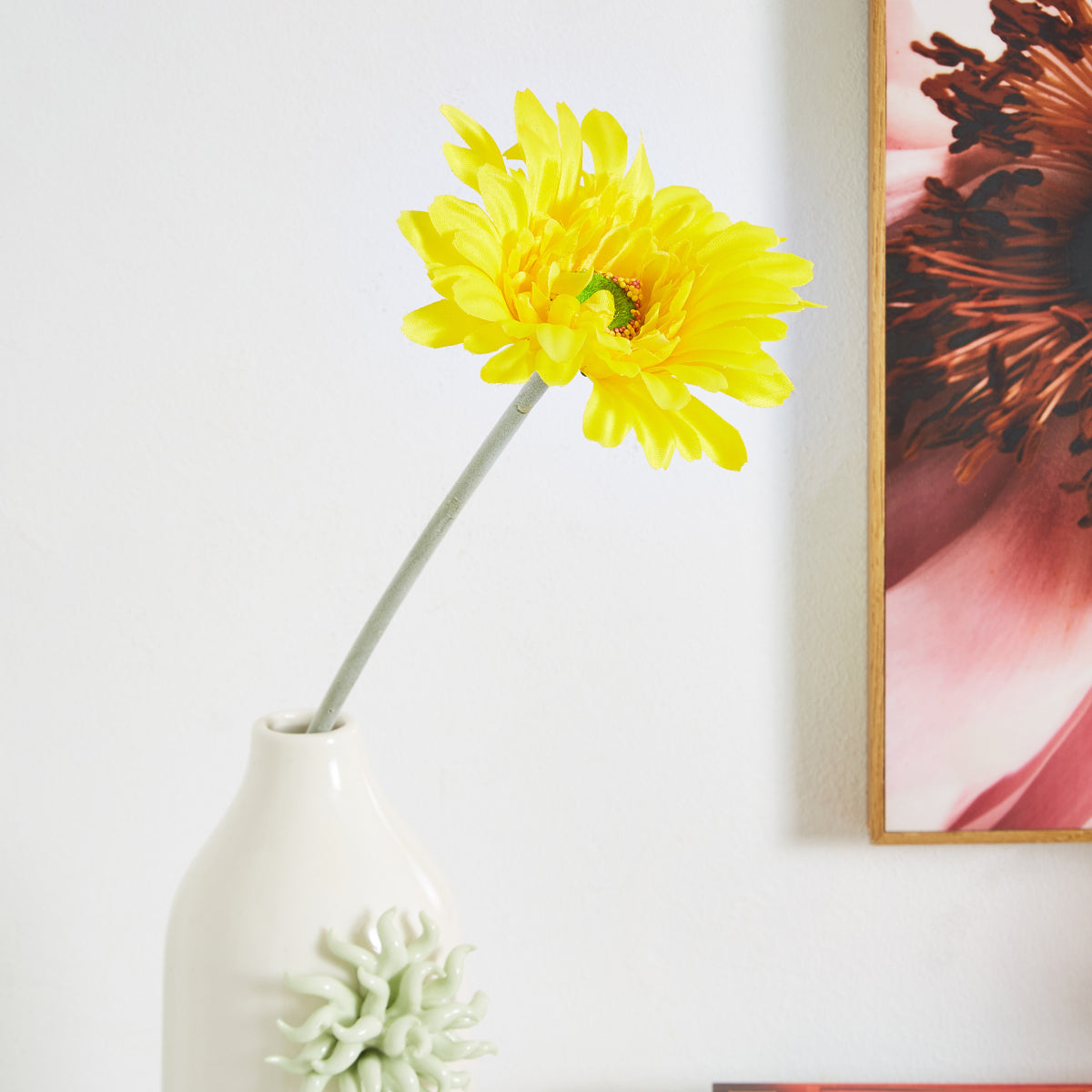 Lida Gerbera flower