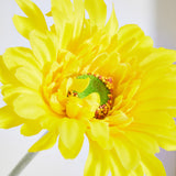 Lida Gerbera flower