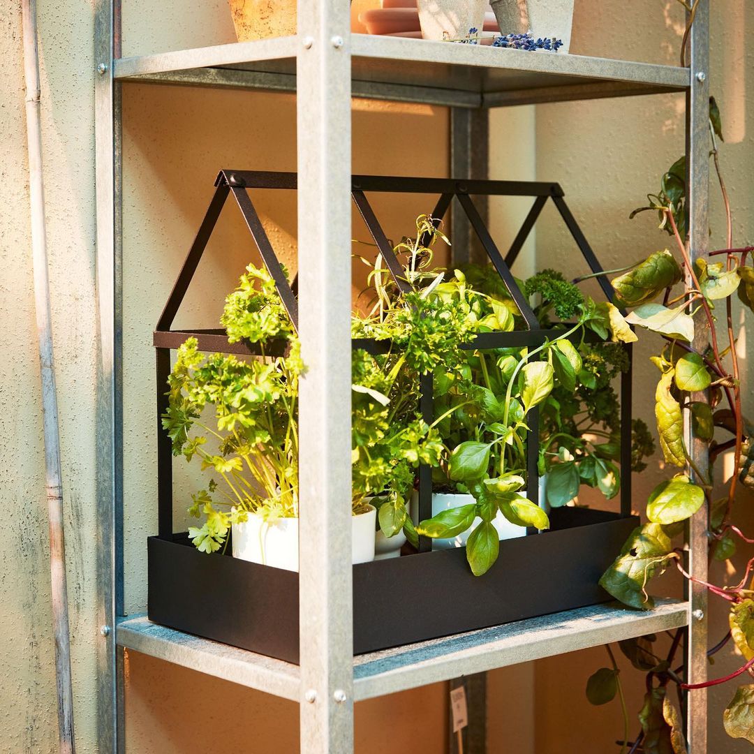 Greenhouse, in/outdoor black