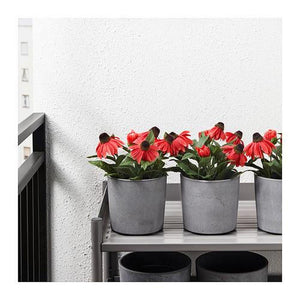 FEJKAartificial potted plant,in/outdoor/Coneflowers