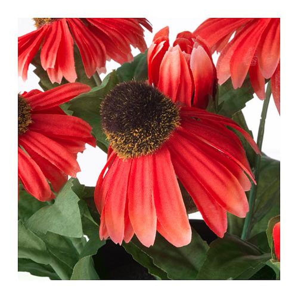 FEJKAartificial potted plant,in/outdoor/Coneflowers