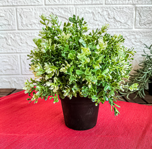 FEJKA Artificial potted plant, thyme, 9 cm