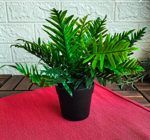 FEJKA Artificial potted plant, in/outdoor Whitley Giant 9 cm