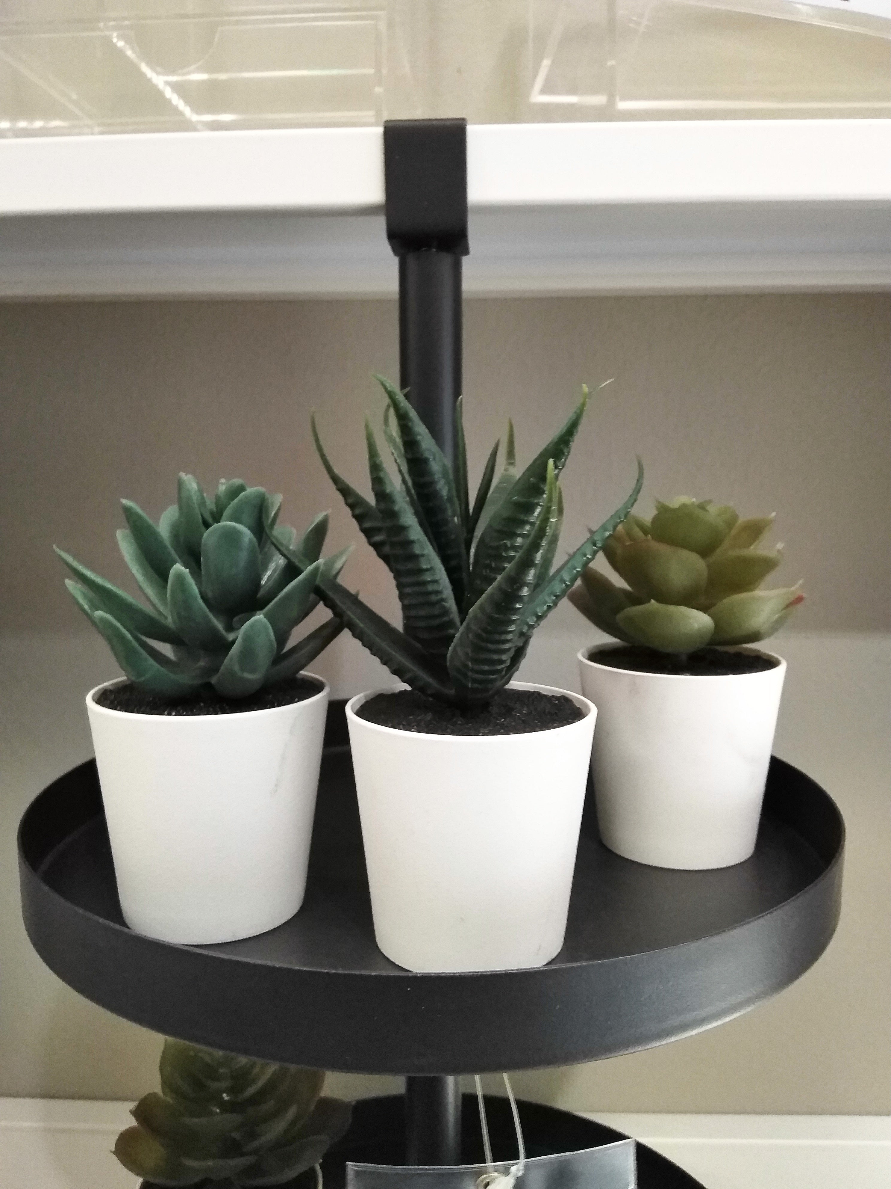fejka artificial potted plant with pot IKEA FEJKA Artificial potted plant with pot, in/outdoor 3 pack in Pakistan  – HomesopSolutions