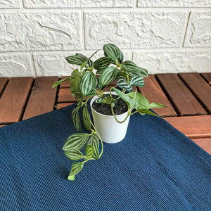FEJKA Artificial potted plant with pot