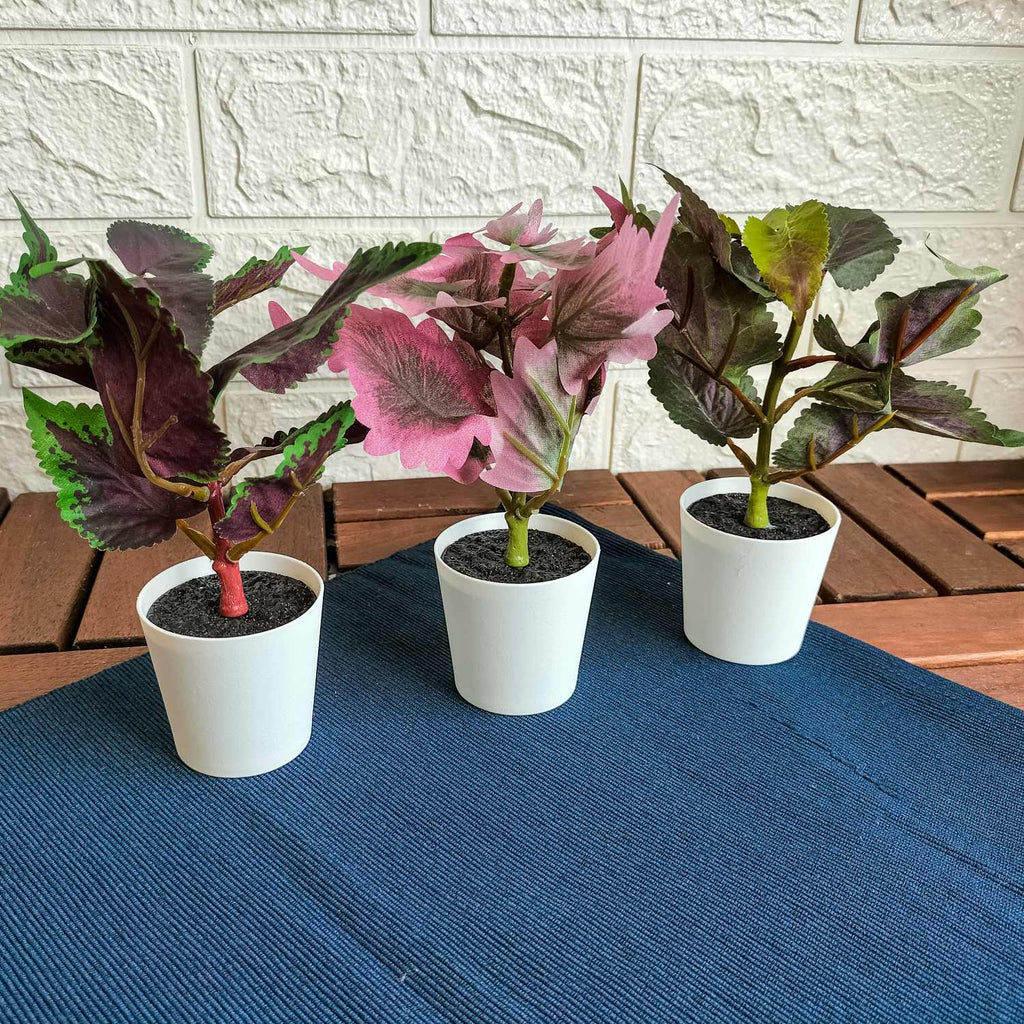 FEJKA Artificial potted plant pot, set of 3, in/outdoor Painted nettle, 6 cm