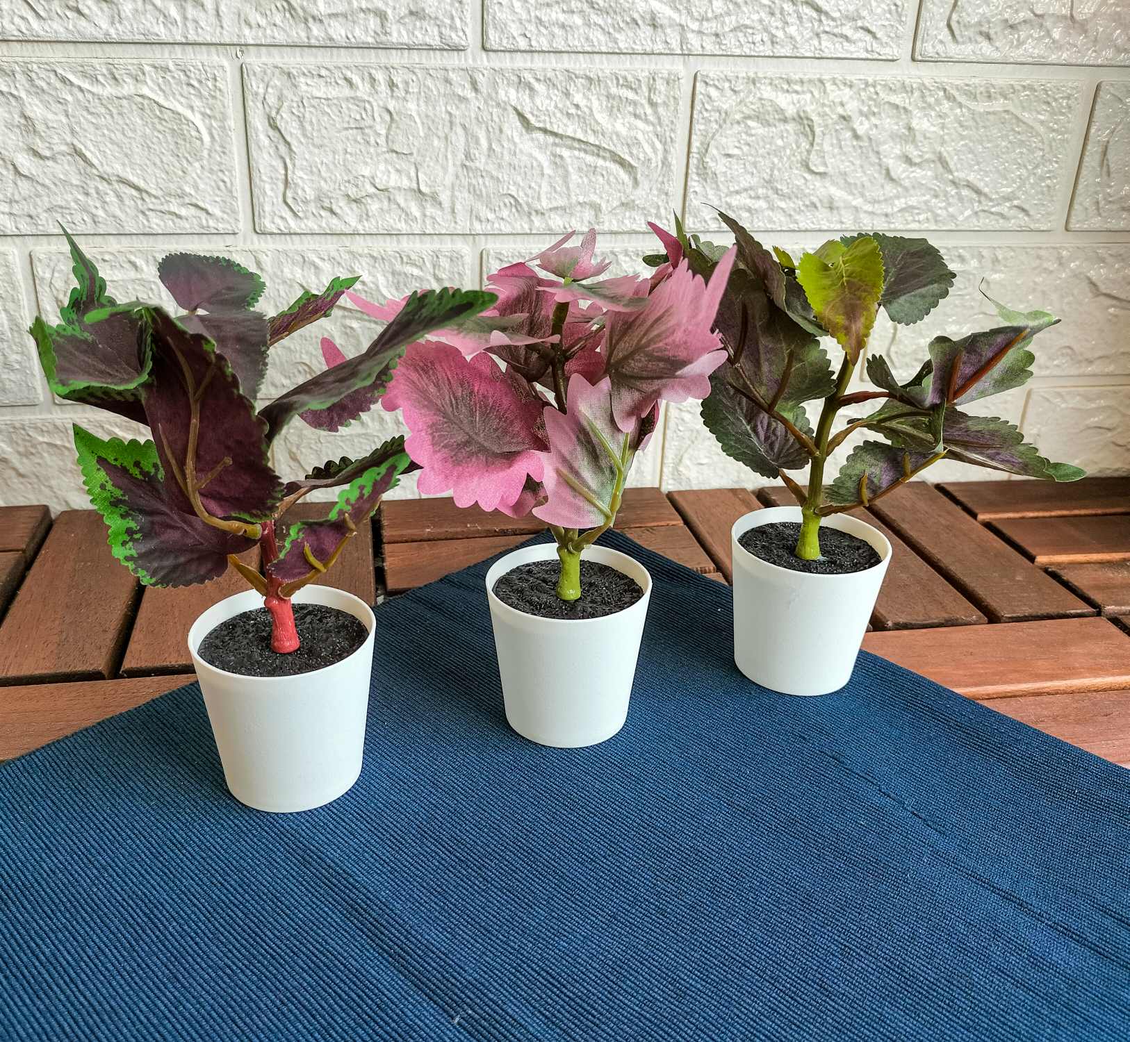 FEJKA Artificial potted plant pot, set of 3, in/outdoor Painted nettle, 6 cm