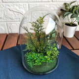 INVÄNDIG Artificial terrarium, dome