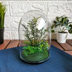 INVÄNDIG Artificial terrarium, dome