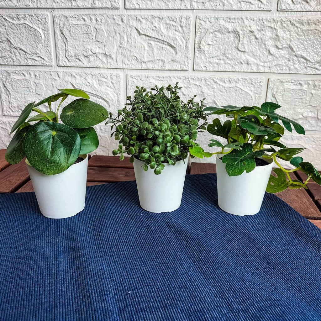 FEJKA Artifi potted plant w pot, set of 3, in/outdoor green 6 cm