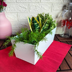 BITTERGURKA

Plant pot white