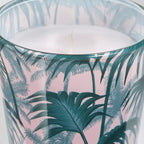 AVLÅNG

Unscented candle in glass, palm leaf green7.5 cm