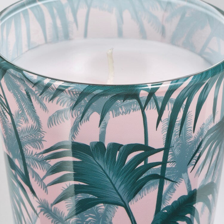 AVLÅNG

Unscented candle in glass, palm leaf green7.5 cm