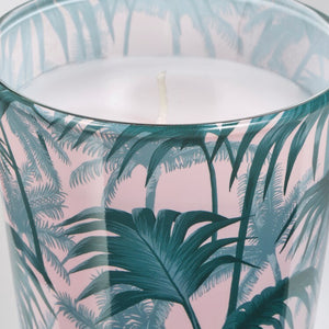 AVLÅNGUnscented candle in glass, palm leaf green7.5 cm
