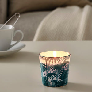 AVLÅNGUnscented candle in glass, palm leaf green7.5 cm